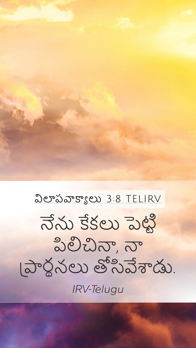 విలాపవాక్యాలు 3:8 TELIRV Bible Verse Image