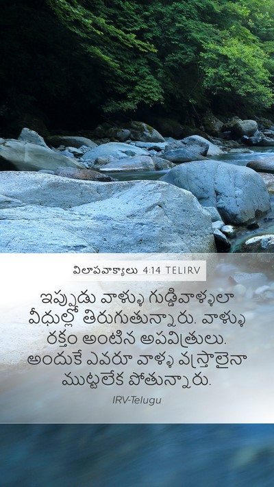 విలాపవాక్యాలు 4:14 TELIRV Bible Verse Image