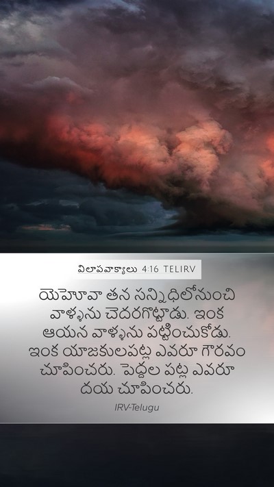 విలాపవాక్యాలు 4:16 TELIRV Bible Verse Image