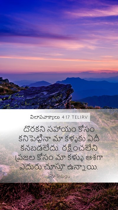 విలాపవాక్యాలు 4:17 TELIRV Bible Verse Image