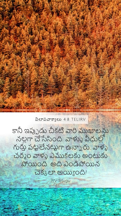 విలాపవాక్యాలు 4:8 TELIRV Bible Verse Image