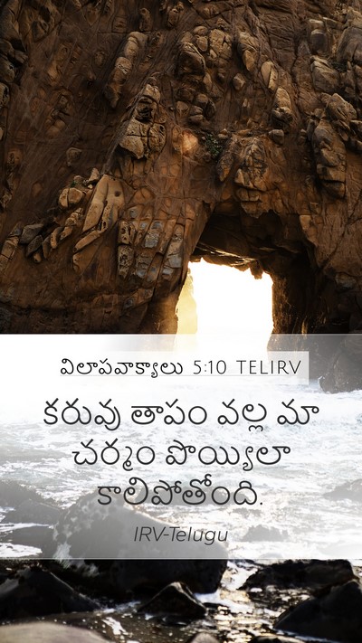 విలాపవాక్యాలు 5:10 TELIRV Bible Verse Image