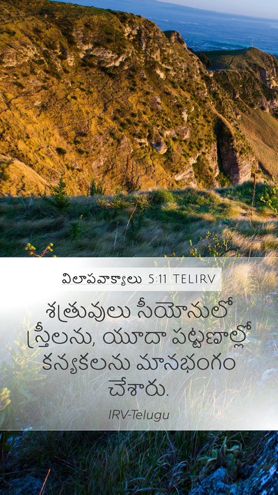 విలాపవాక్యాలు 5:11 TELIRV Bible Verse Image