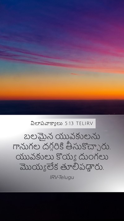 విలాపవాక్యాలు 5:13 TELIRV Bible Verse Image