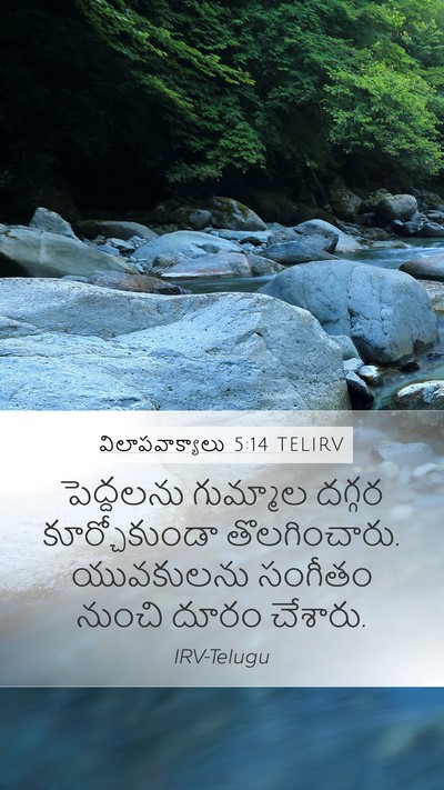 విలాపవాక్యాలు 5:14 TELIRV Bible Verse Image