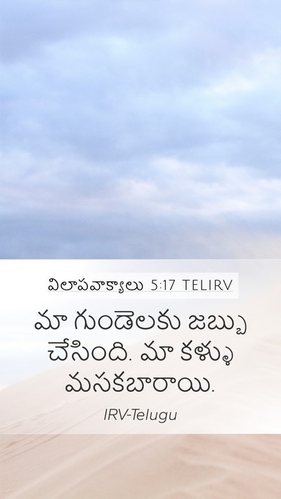 విలాపవాక్యాలు 5:17 TELIRV Bible Verse Image