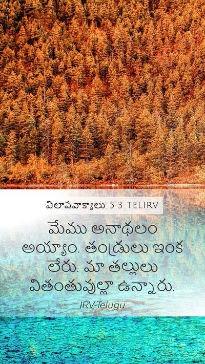 విలాపవాక్యాలు 5:3 TELIRV Bible Verse Image
