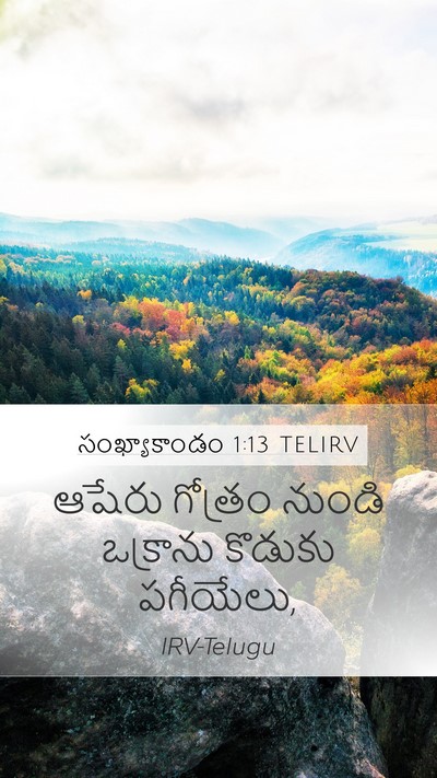 సంఖ్యాకాండం 1:13 TELIRV Mobile Phone Wallpaper - ఆషేరు గోత్రం - Mobile Bible Verse Wallpaper