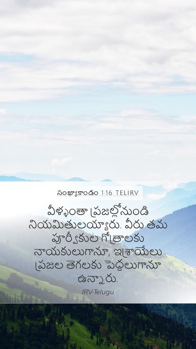 సంఖ్యాకాండం 1:16 TELIRV Mobile Phone Wallpaper - వీళ్ళంతా - Mobile Bible Verse Wallpaper