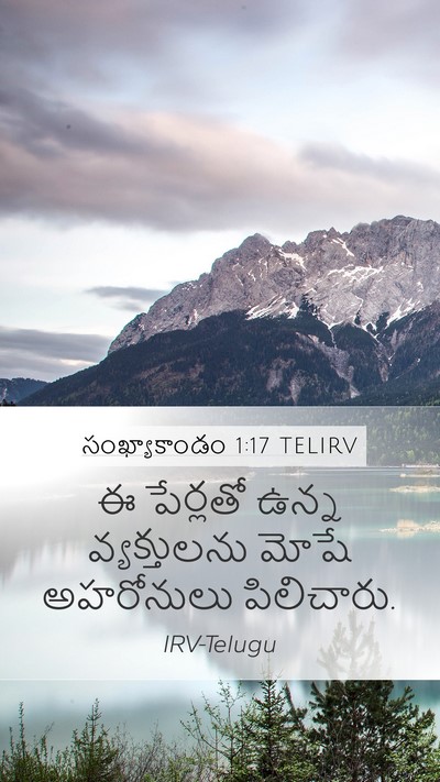 సంఖ్యాకాండం 1:17 TELIRV Mobile Phone Wallpaper - ఈ పేర్లతో ఉన్న - Mobile Bible Verse Wallpaper