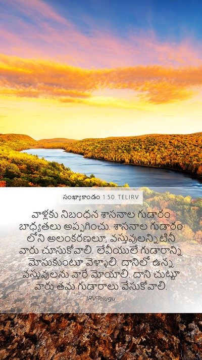 సంఖ్యాకాండం 1:50 TELIRV Bible Verse Image