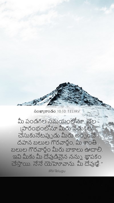 సంఖ్యాకాండం 10:10 TELIRV Bible Verse Image