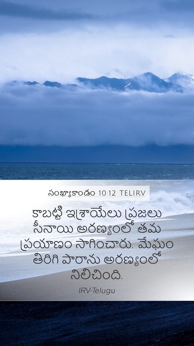 సంఖ్యాకాండం 10:12 TELIRV Bible Verse Image