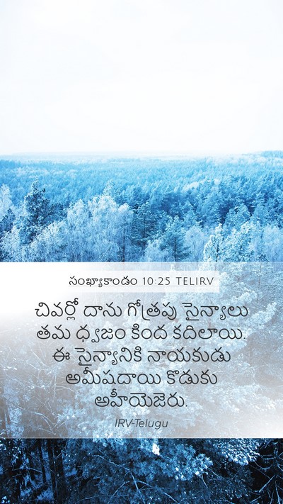 సంఖ్యాకాండం 10:25 TELIRV Bible Verse Image