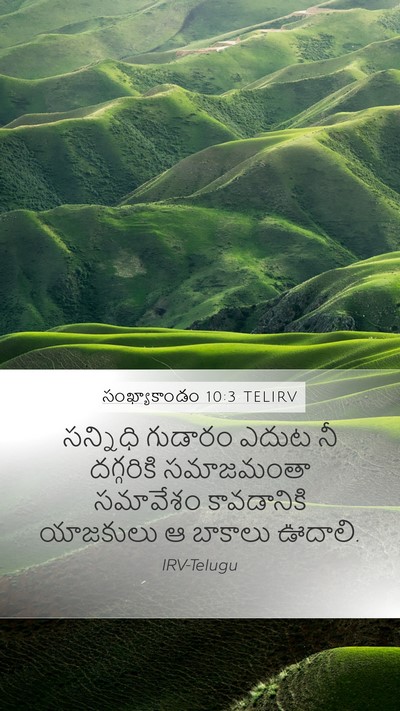 సంఖ్యాకాండం 10:3 TELIRV Bible Verse Image
