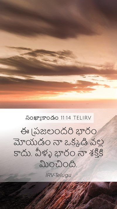 సంఖ్యాకాండం 11:14 TELIRV Mobile Phone Wallpaper - ఈ ప్రజలందరి భారం - Mobile Bible Verse Wallpaper