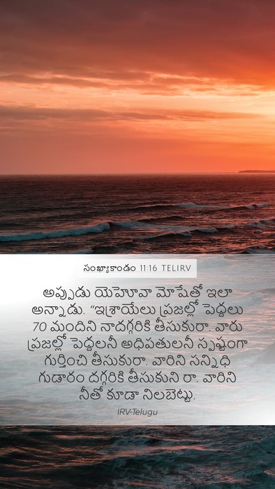 సంఖ్యాకాండం 11:16 TELIRV Bible Verse Image