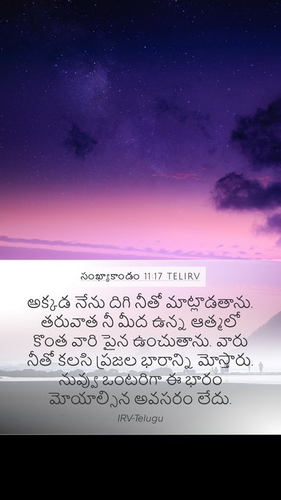 సంఖ్యాకాండం 11:17 TELIRV Bible Verse Image