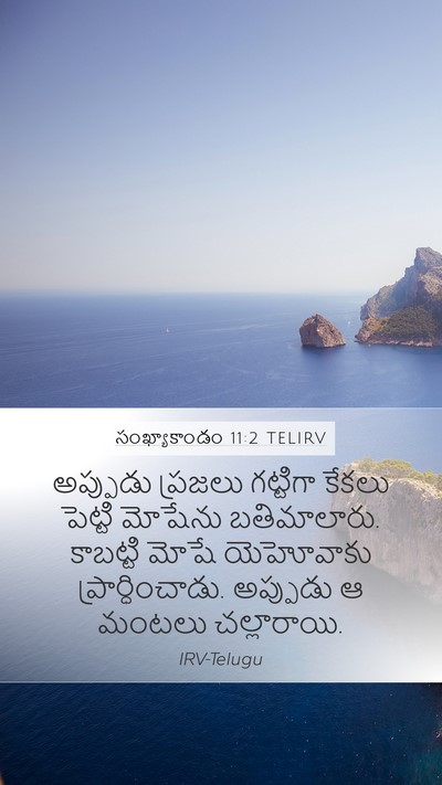 సంఖ్యాకాండం 11:2 TELIRV Mobile Phone Wallpaper - అప్పుడు ప్రజలు - Mobile Bible Verse Wallpaper