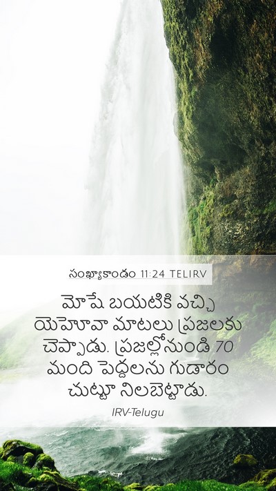 సంఖ్యాకాండం 11:24 TELIRV Bible Verse Image