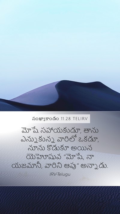 సంఖ్యాకాండం 11:28 TELIRV Bible Verse Image