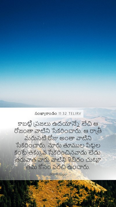 సంఖ్యాకాండం 11:32 TELIRV Mobile Phone Wallpaper - కాబట్టి ప్రజలు - Mobile Bible Verse Wallpaper