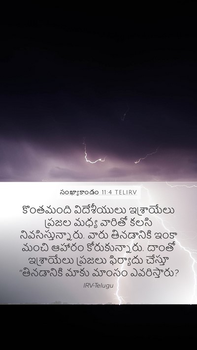 సంఖ్యాకాండం 11:4 TELIRV Bible Verse Image
