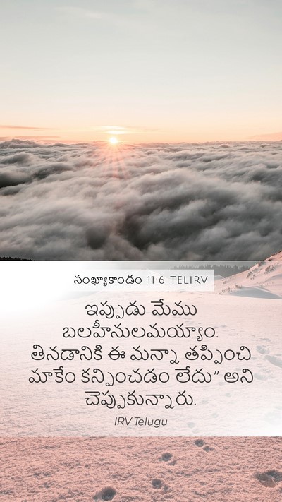 సంఖ్యాకాండం 11:6 TELIRV Mobile Phone Wallpaper - ఇప్పుడు మేము - Mobile Bible Verse Wallpaper