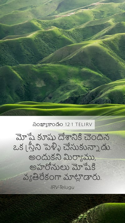 సంఖ్యాకాండం 12:1 TELIRV Mobile Phone Wallpaper - మోషే కూషు - Mobile Bible Verse Wallpaper