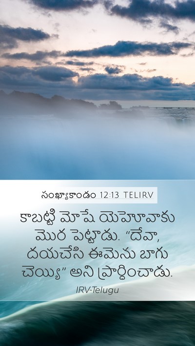 సంఖ్యాకాండం 12:13 TELIRV Mobile Phone Wallpaper - కాబట్టి మోషే - Mobile Bible Verse Wallpaper