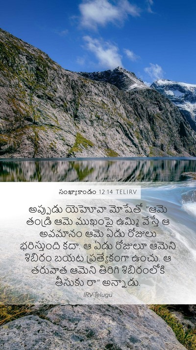 సంఖ్యాకాండం 12:14 TELIRV Bible Verse Image