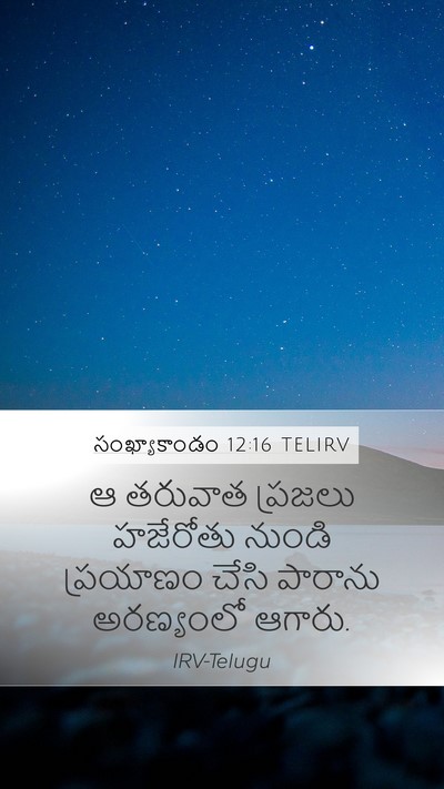 సంఖ్యాకాండం 12:16 TELIRV Bible Verse Image