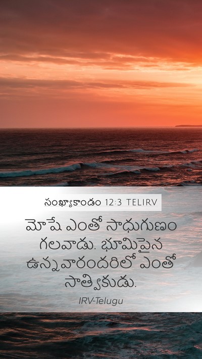 సంఖ్యాకాండం 12:3 TELIRV Mobile Phone Wallpaper - మోషే ఎంతో - Mobile Bible Verse Wallpaper