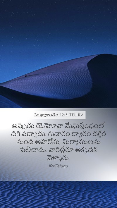 సంఖ్యాకాండం 12:5 TELIRV Mobile Phone Wallpaper - అప్పుడు యెహోవా - Mobile Bible Verse Wallpaper