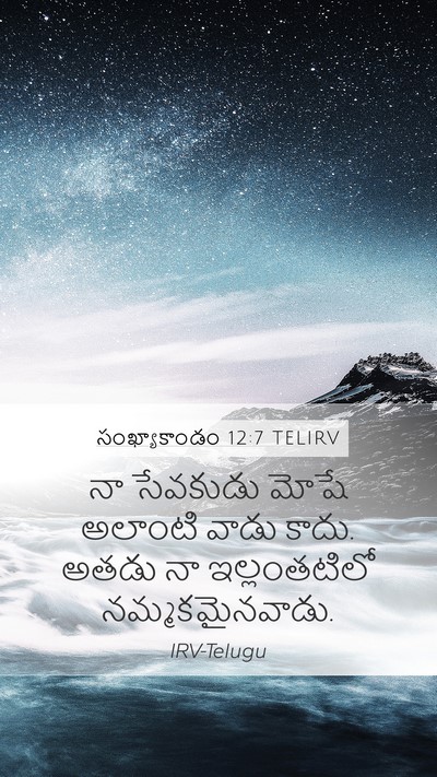 సంఖ్యాకాండం 12:7 TELIRV Mobile Phone Wallpaper - నా సేవకుడు మోషే - Mobile Bible Verse Wallpaper