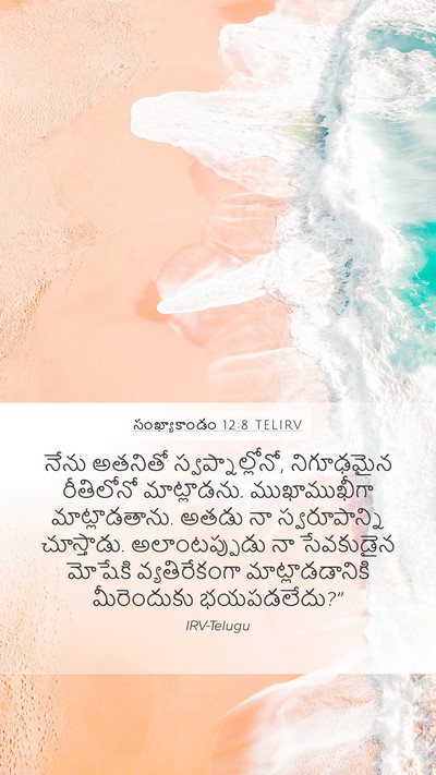 సంఖ్యాకాండం 12:8 TELIRV Mobile Phone Wallpaper - నేను అతనితో - Mobile Bible Verse Wallpaper