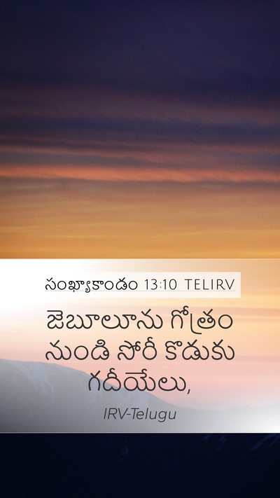 సంఖ్యాకాండం 13:10 TELIRV Mobile Phone Wallpaper - జెబూలూను గోత్రం - Mobile Bible Verse Wallpaper