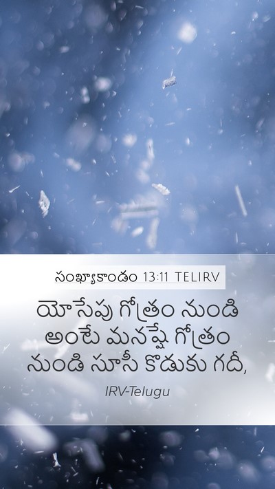 సంఖ్యాకాండం 13:11 TELIRV Bible Verse Image