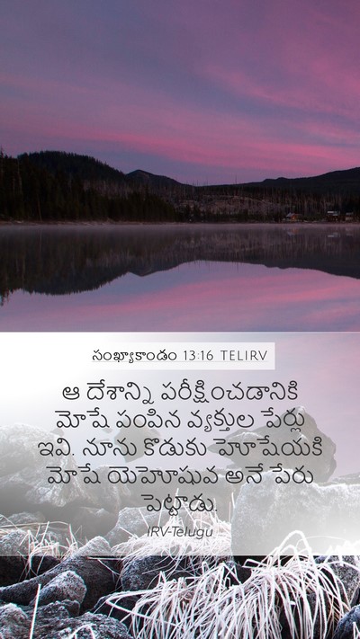 సంఖ్యాకాండం 13:16 TELIRV Bible Verse Image