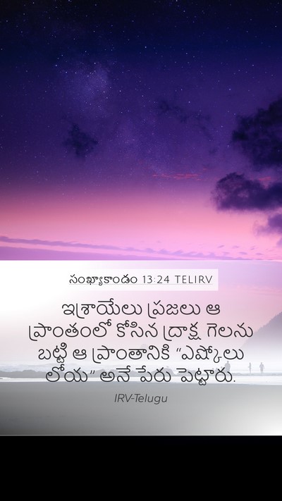 సంఖ్యాకాండం 13:24 TELIRV Mobile Phone Wallpaper - ఇశ్రాయేలు ప్రజలు - Mobile Bible Verse Wallpaper