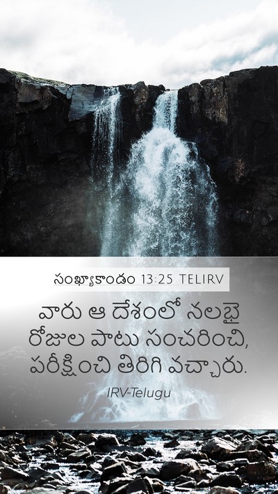 సంఖ్యాకాండం 13:25 TELIRV Mobile Phone Wallpaper - వారు ఆ దేశంలో నలభై - Mobile Bible Verse Wallpaper