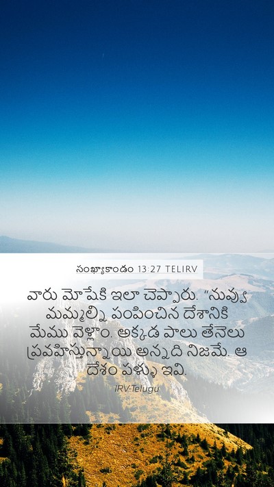 సంఖ్యాకాండం 13:27 TELIRV Bible Verse Image