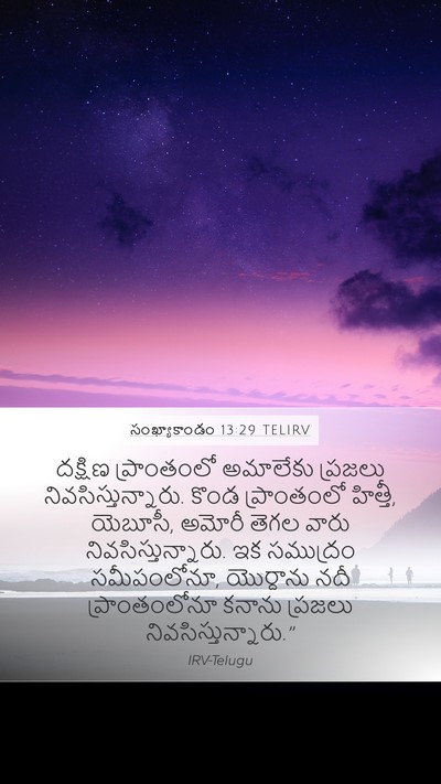 సంఖ్యాకాండం 13:29 TELIRV Bible Verse Image