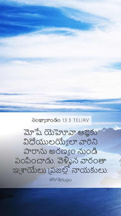 సంఖ్యాకాండం 13:3 TELIRV Bible Verse Image