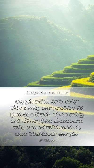సంఖ్యాకాండం 13:30 TELIRV Bible Verse Image