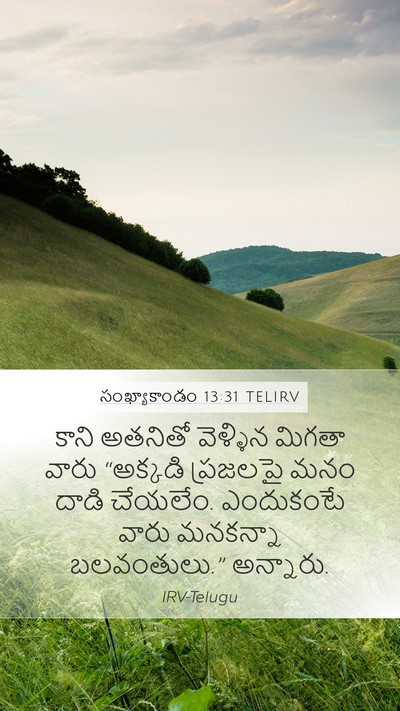 సంఖ్యాకాండం 13:31 TELIRV Bible Verse Image
