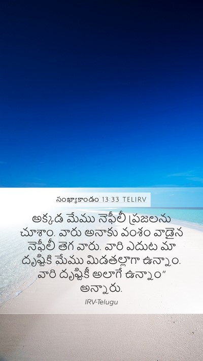 సంఖ్యాకాండం 13:33 TELIRV Bible Verse Image
