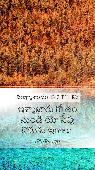 సంఖ్యాకాండం 13:7 TELIRV Mobile Phone Wallpaper - ఇశ్శాఖారు గోత్రం - Mobile Bible Verse Wallpaper