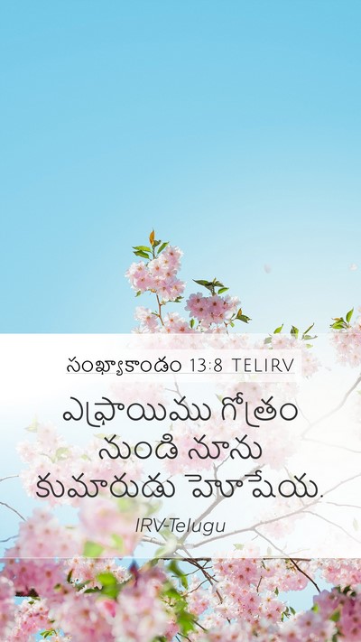 సంఖ్యాకాండం 13:8 TELIRV Bible Verse Image