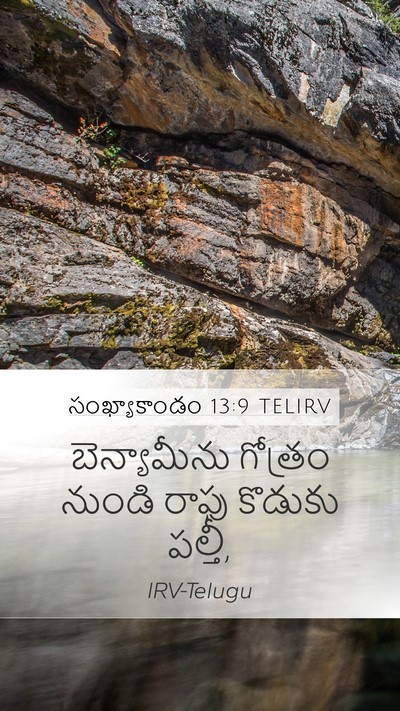సంఖ్యాకాండం 13:9 TELIRV Mobile Phone Wallpaper - బెన్యామీను గోత్రం - Mobile Bible Verse Wallpaper
